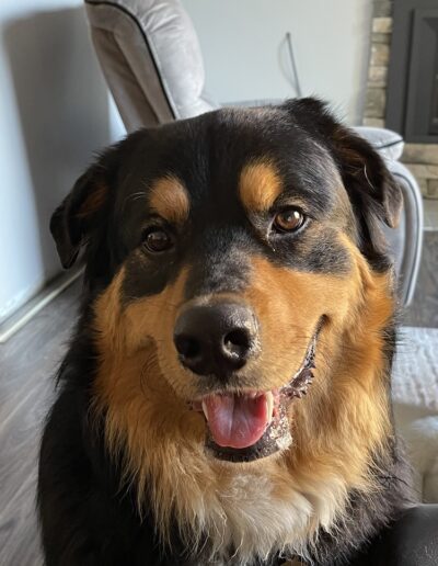 Guardians - Doug Looking Sharp