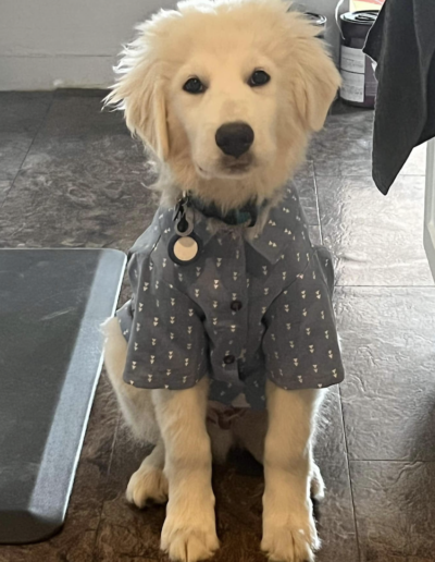 Guardians - Luke - Date Night Ready