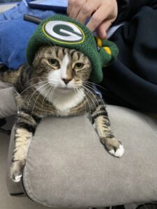 Guardians - Sam - Game Day Ready!