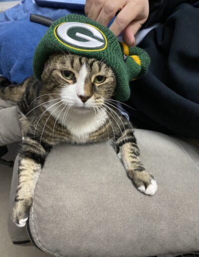 Guardians - Sam - Game Day Ready!