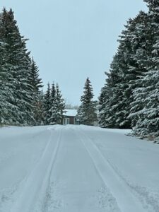 Streamstown First Winter 2022