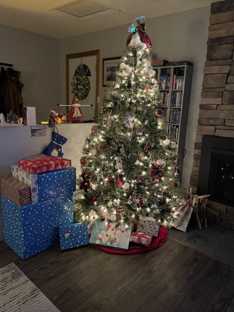 Christmas Tree 2022 - First Christmas