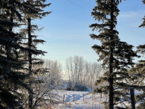 Winter Through The Acreage - March 2023