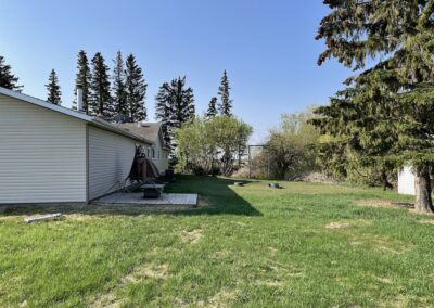 Backyard Tree Removal