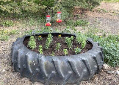 Tire Garden 2023 - De Cristofaro Hut