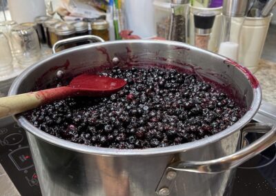 Pickling & Canning - De Cristofaro Homestead July 2023