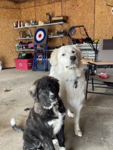 Luke and Solo July 24, 2023