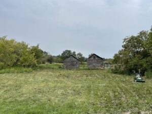 Property Back Clearing July 2023