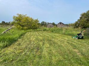 Back Property Clearing July 2023