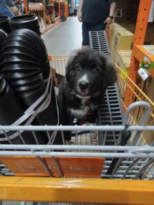 Solo - Shopping for Drainage Parts