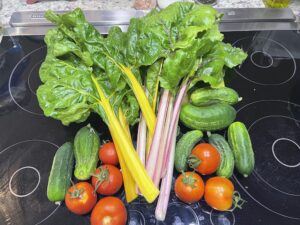 Veggie Garden Sampler July 2023