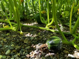 Summer 2023 Coming to a Close