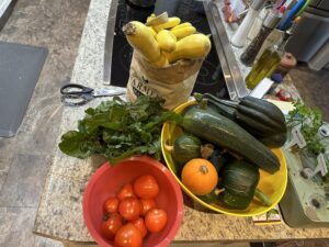 Final 2023 Veggie Haul