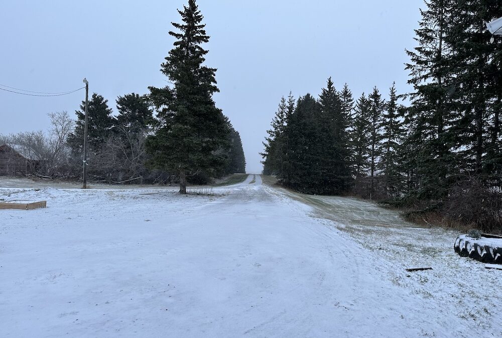 Winter 2023 Has Arrived