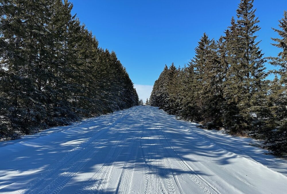 Welcome to 2024 – Three Month Post