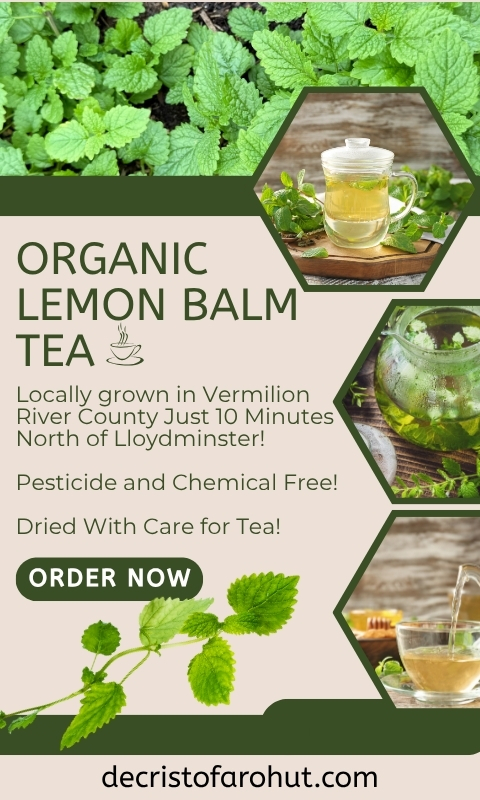 Organic Lemon Balm Tea