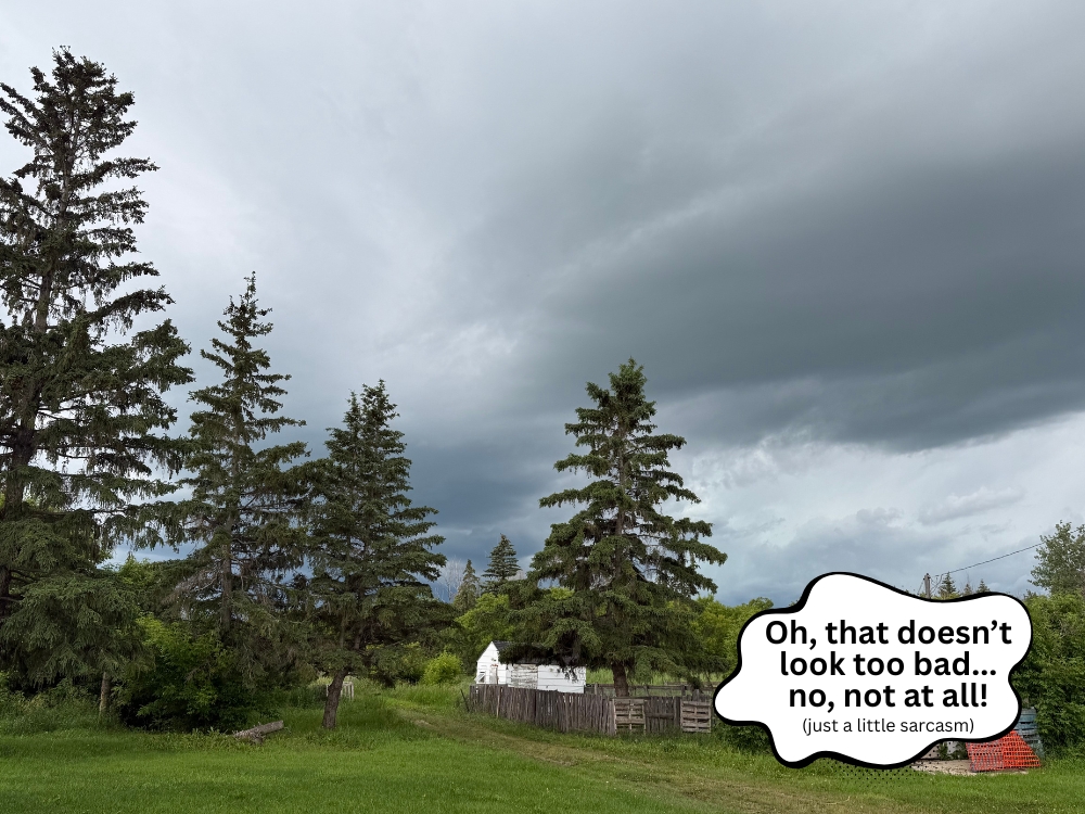 Mother Nature - Thunderstorm, Streamstown, Alberta 2026