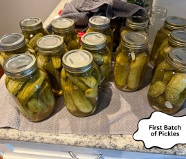 Pickle Jars - Garden 2026